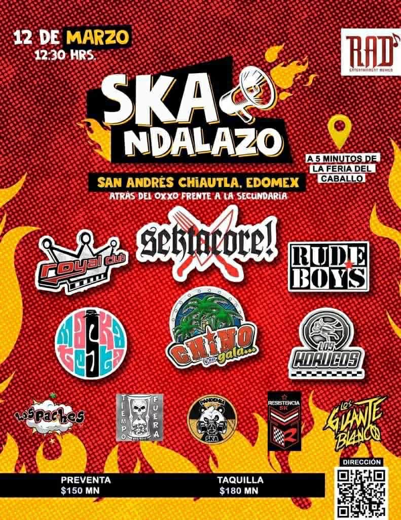 Flyer 65